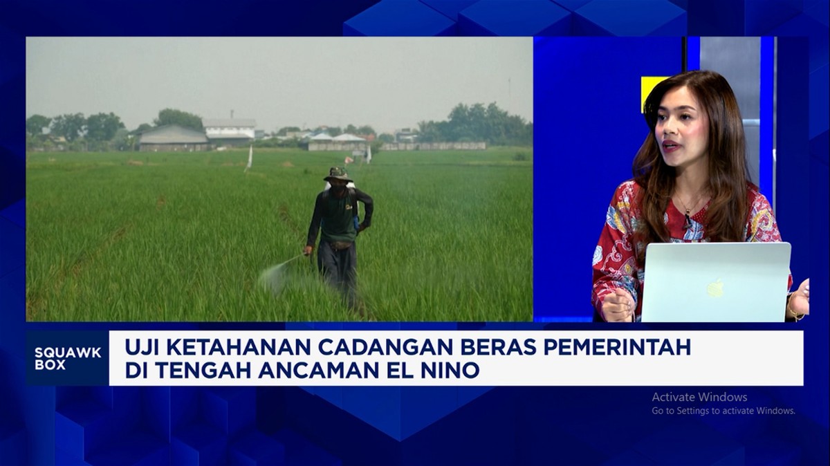 Video: Stok Beras Pemerintah Tembus 4,8 Juta Ton, Petani Sejahtera?