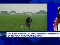 Cadangan Beras Pemerintah Melonjak Tapi Kenapa Harga Beras Masih Mahal?