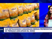 Cadangan Beras Pemerintah Melonjak Tapi Kenapa Harga Beras Masih Mahal?