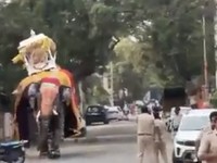 Gajah suci yang membawa kuil emas seberat 650 kg mengamuk. (Ist Tangkapan Layar )