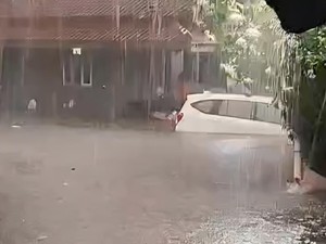 Hujan Disertai Angin Kencang Picu Banjir Lintasan dan Pohon Tumbang di Bogor