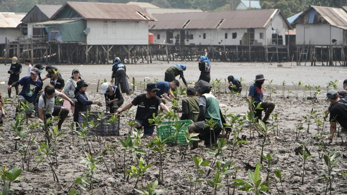 IMIP Padukan Pelestarian Mangrove dan Kemandirian Ekonomi Warga — NadiKabar.com