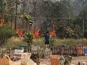 Api Karhutla di Kapuas Kalteng Dekati Pemakaman, Warga Khawatir