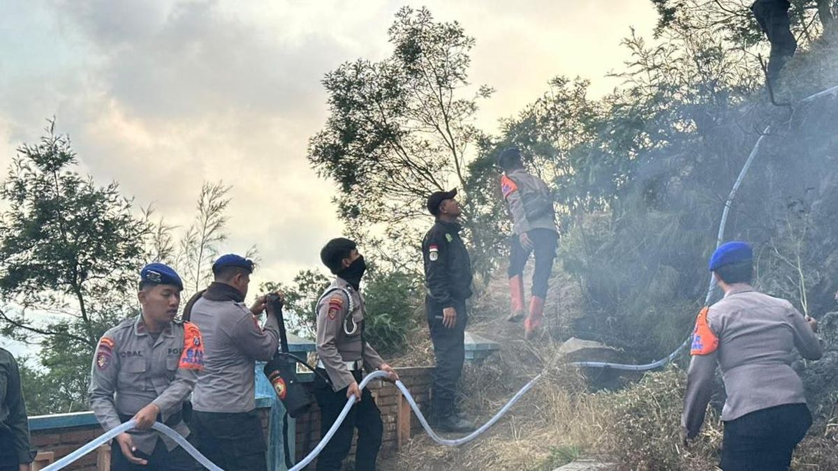 Ilustrasi berita Nasional: Polda Jatim Kerahkan Personel Bantu Padamkan Karhutla di Bromo
