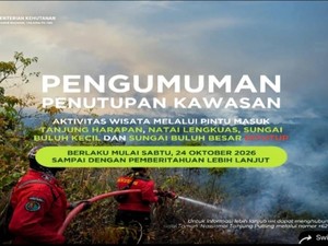Karhutla Meluas, 4 Pintu Wisata TN Tanjung Puting Ditutup Mulai 24 Oktober