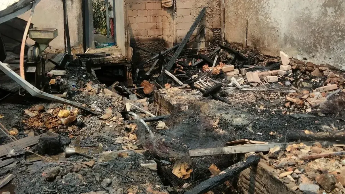 2 Mobil dan Puluhan Ternak di Jakbar Hangus Terbakar — NadiKabar.com