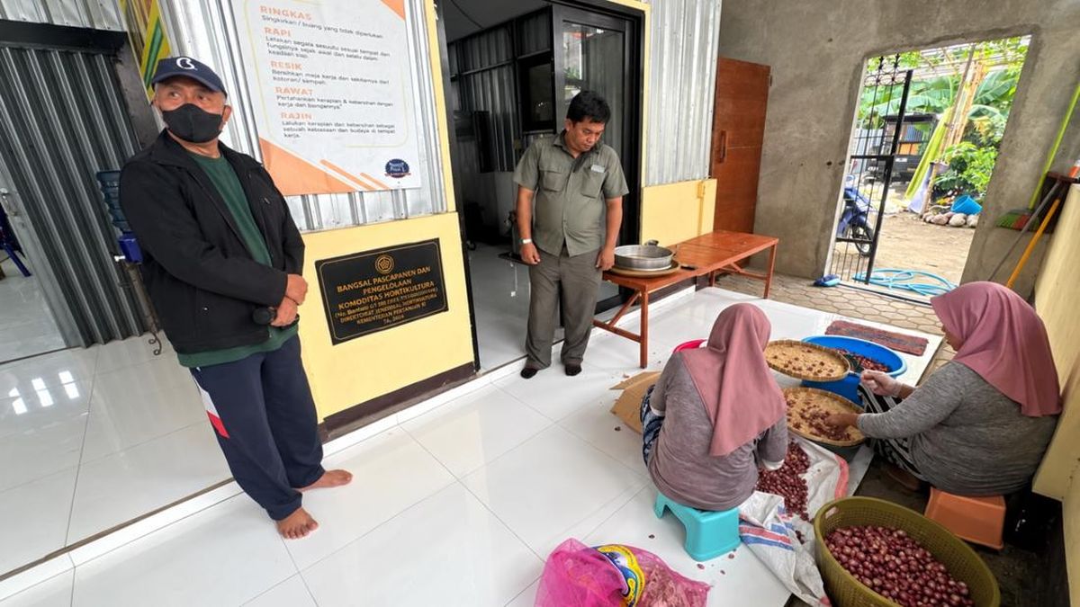 Ilustrasi berita Bisnis: Kementan Dorong Hilirisasi Hortikultura Lewat Inovasi KWT di Lombok