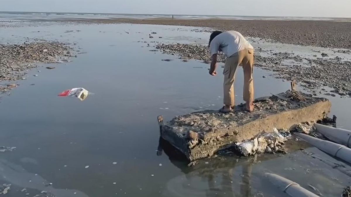 Limbah Tambak Udang Dibuang ke Laut Sumbawa, Pemprov NTB Ancam Sanksi Berat — NadiKabar.com