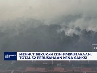 Menhut Bekukan Izin 6 Perusahaan, Total 32 Perusahaan Kena Sanksi