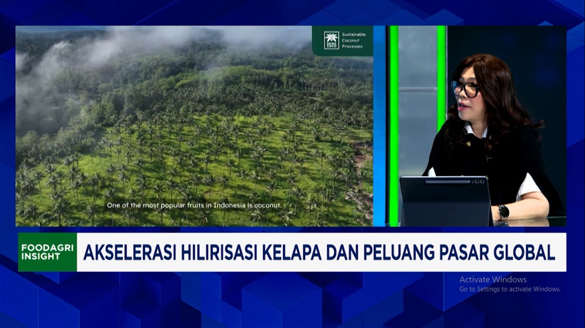 Video: Banyak Impor Kelapa Mentah, RI Wajib Dorong Hilirisasi Kelapa