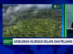 Banyak Impor Kelapa Mentah, RI Bisa Contek Filipina Dorong Hilirisasi Kelapa
