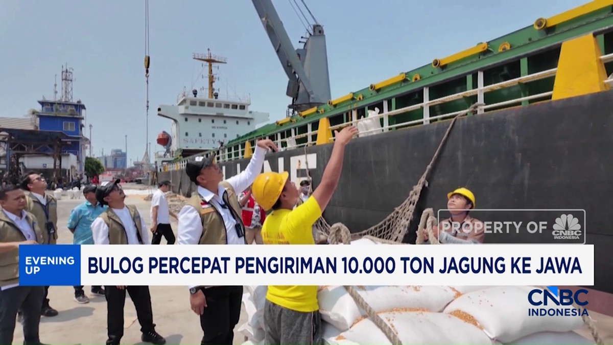 Video: Bulog Percepat Pengiriman 10.000 Ton Jagung ke Jawa