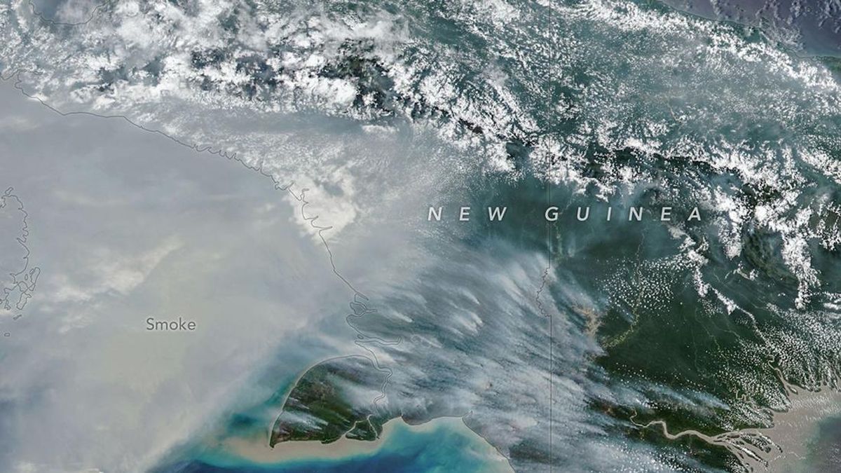 NASA Ungkap Kebakaran Papua, Asap Tebal Terlihat dari Satelit — NadiKabar.com