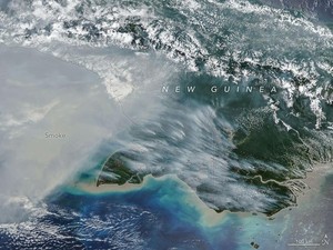 NASA Ungkap Kebakaran Papua, Asap Tebal Terlihat dari Satelit