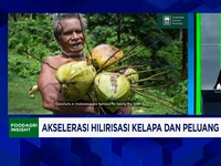 Ekspor ke 35 Negara Eropa - China, Pengusaha Kebut Pabrik Hilirisasi Kelapa