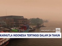 Emisi Karhutla Indonesia Tertinggi dalam 24 Tahun