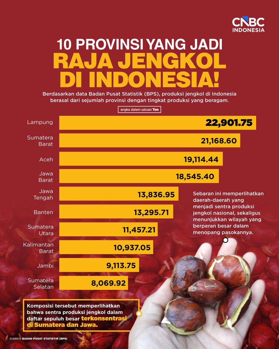 10 Provinsi yang JadI Raja Jengkol di Indonesia!
