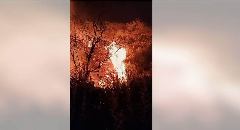 Kebakaran Gunung Arjuno Welirang. (Detik.com/Muhajir Arifin)