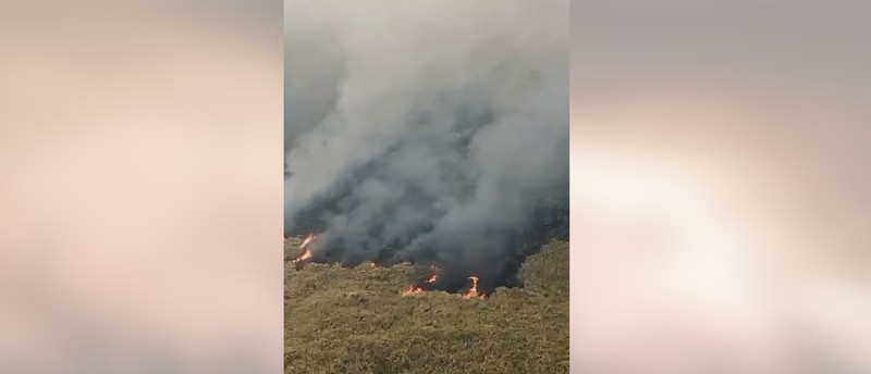 Kebakaran Gunung Arjuno Welirang. (Detik.com/Muhajir Arifin)