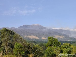 Kebakaran Arjuno-Welirang Wilayah Pasuruan Sisakan Satu Titik Api