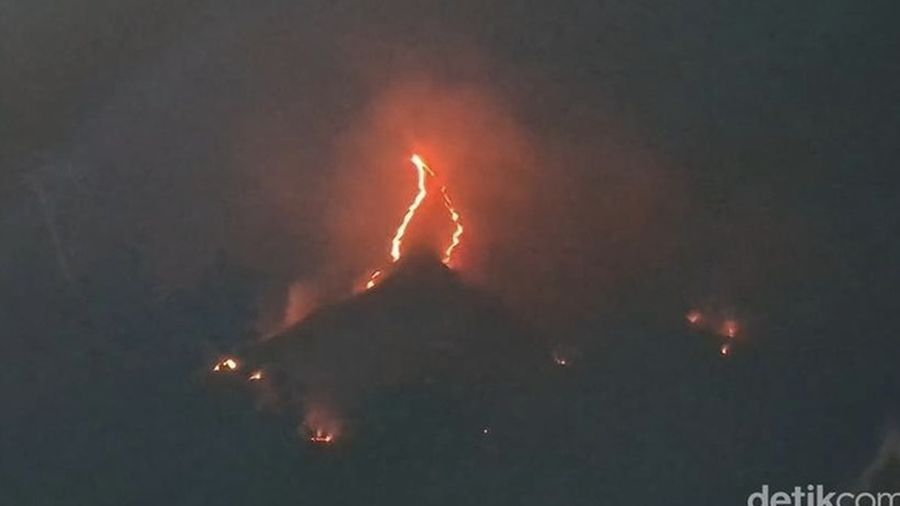 Kebakaran Gunung Arjuno Welirang. (Detik.com/Muhajir Arifin)