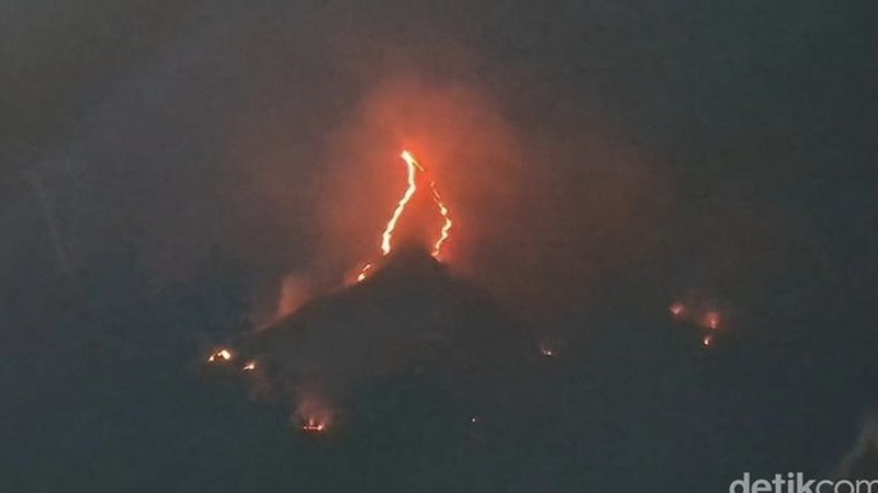 Kebakaran Gunung Arjuno Welirang. (Detik.com/Muhajir Arifin)