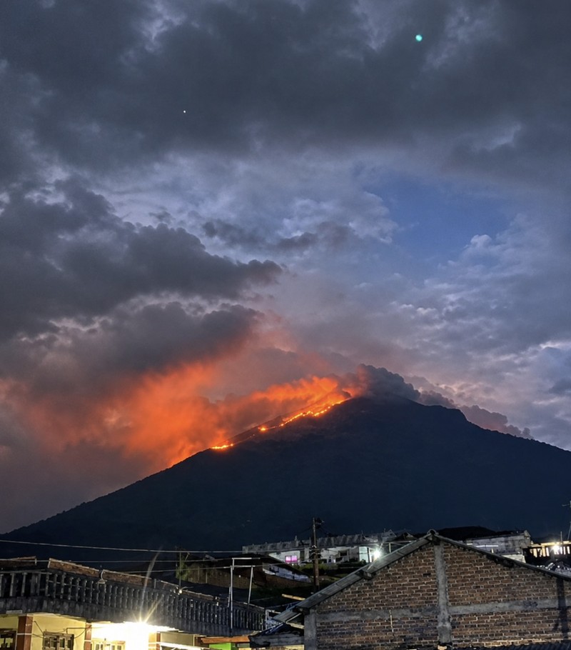 Kebakaran Gunung Arjuno Welirang. (Detik.com/Muhajir Arifin)