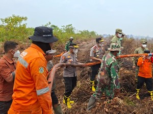 Patroli Udara, Satgas Temukan Tiga Titik Karhutla di TN Berbak Sembilang