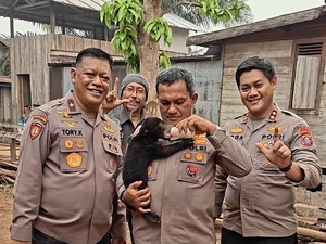 Polri Selamatkan Anak Beruang Madu dari Karhutla Kalteng