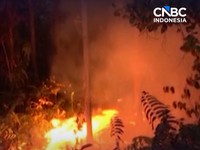 Prabowo Kirim Rp 1,23 Triliun ke 7 Provinsi Terdampak Karhutla