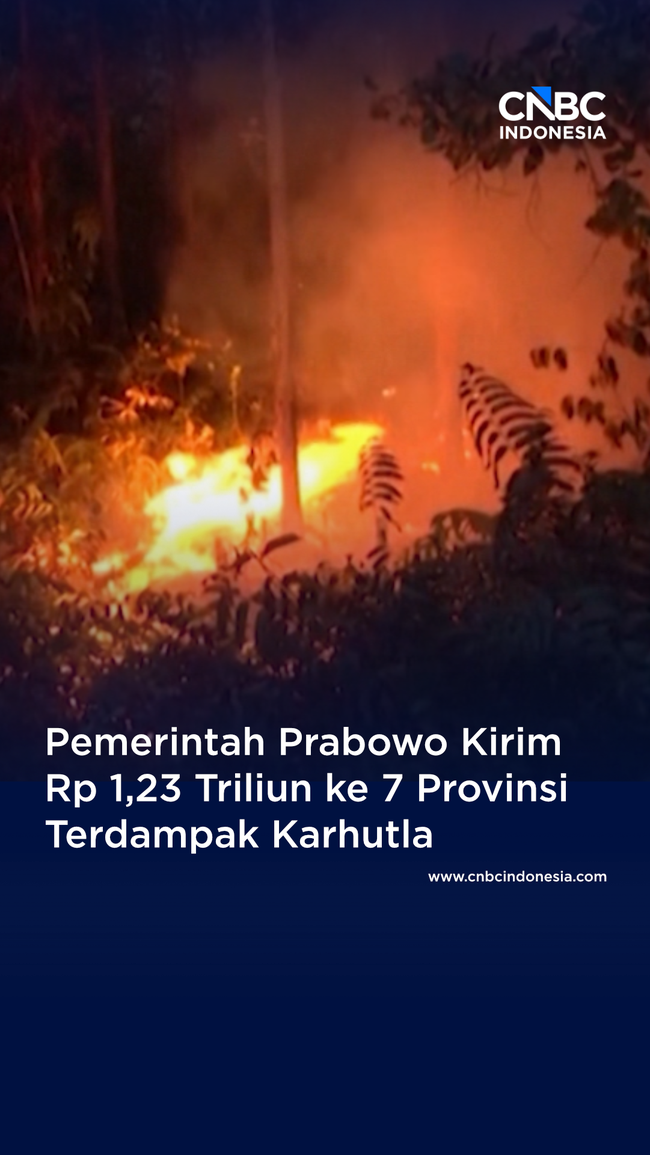 Prabowo Kirim Rp 1,23 Triliun ke 7 Provinsi Terdampak Karhutla