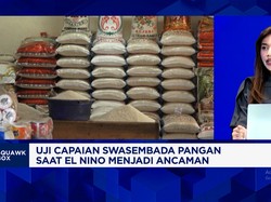 Uji Klaim Swasembada Pangan di 2 Tahun Pemerintahan Prabowo, Seberapa Kuat?