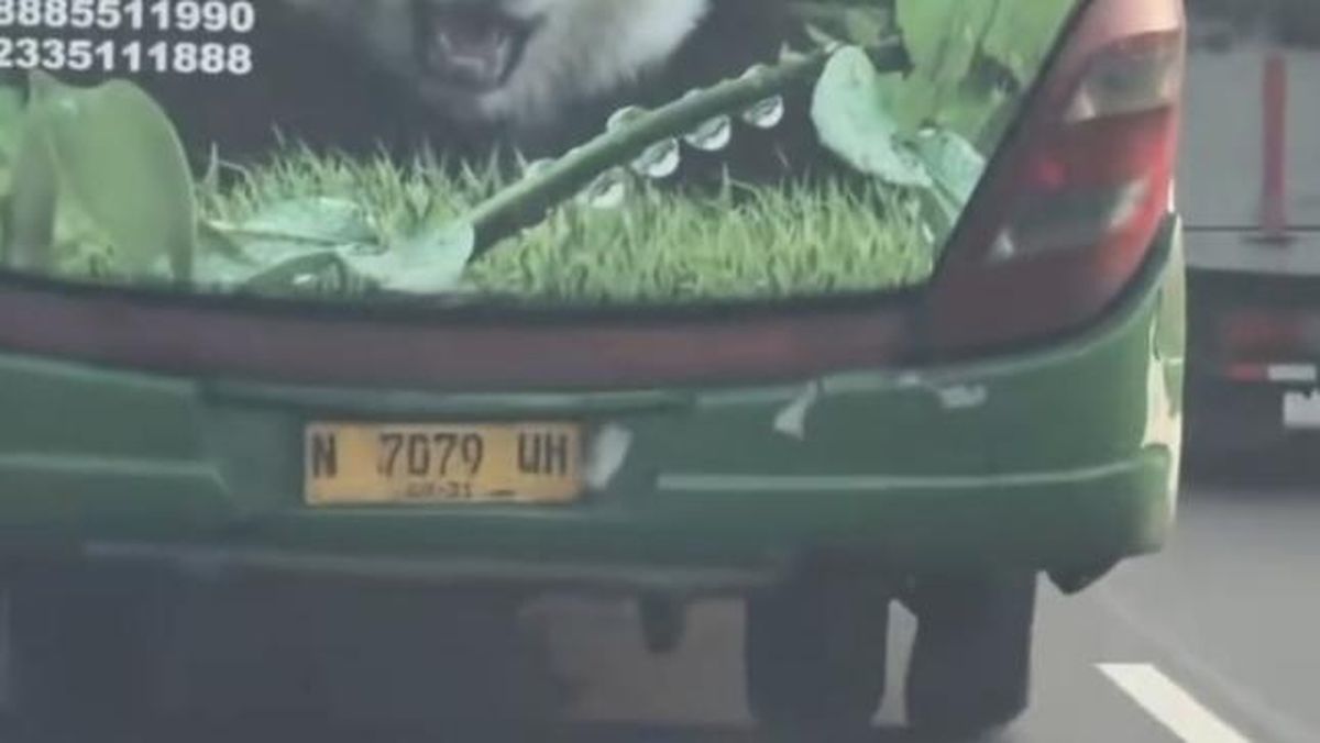 Viral Aksi Bus Restu Salip Kendaraan Lewat Bahu Jalan Tol Meski Ban Pecah — NadiKabar.com