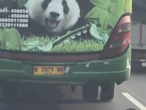 Viral Aksi Nekat Bus Restu Pecah Ban Nyalip di Bahu Jalan Tol Sidoarjo