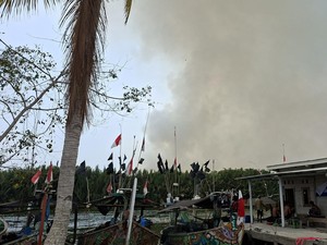 Asap Akibat Karhutla Way Kambas Ganggu Aktivitas Warga Kampung Cabang