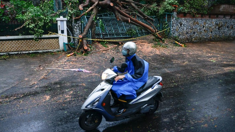 ASIA-WEATHER/CHAMPI