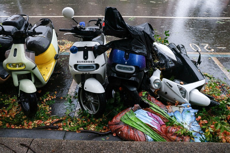 Pohon tumbang akibat angin kencang yang dibawa oleh Topan Champi, di Taipei, Taiwan, 24 Oktober 2026. REUTERS/Ann Wang
