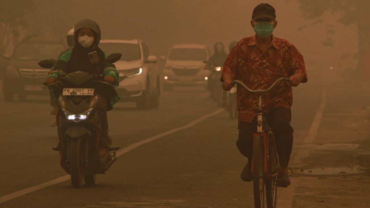 Kabut Asap Karhutla Menipis Usai Hujan, Begini Cara Alam Membersihkan Udara — NadiKabar.com