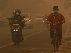 Video IDI: Paparan Kabut Asap Karhutla Jangka Panjang Bisa Picu Kanker