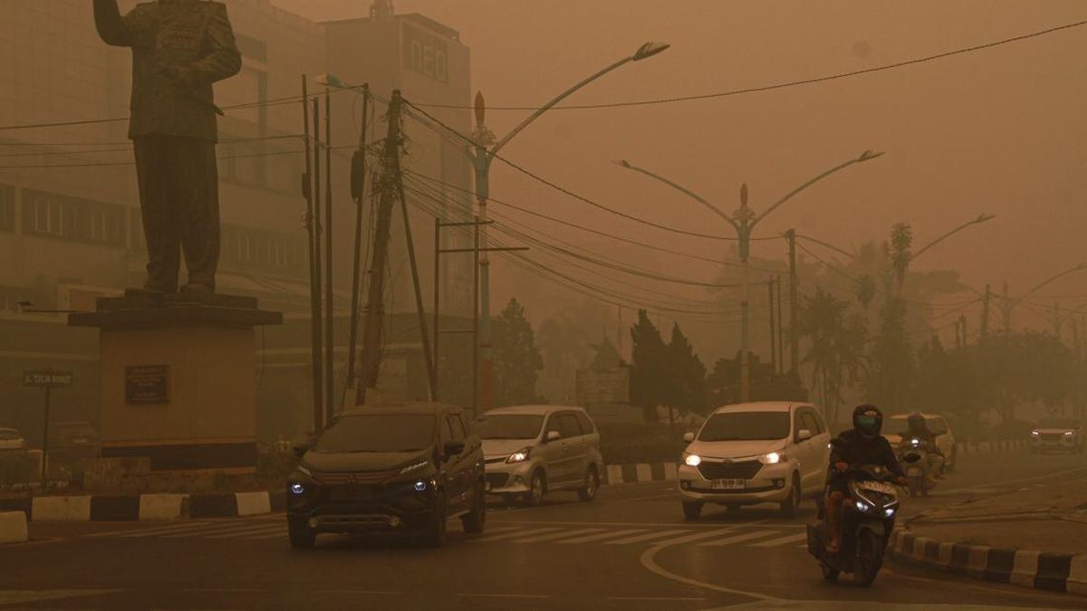 Kabut Asap Karhutla Selimuti Palangka Raya, Jarak Pandang Terbatas — NadiKabar.com
