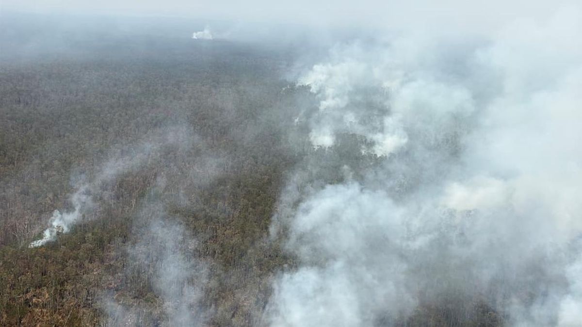 BNPB Kerahkan Heli Water Bombing Padamkan Karhutla Way Kambas Lampung — NadiKabar.com