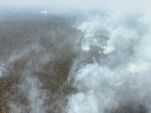 BNPB Kerahkan Heli Water Bombing Padamkan Karhutla Way Kambas Lampung