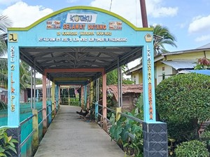 Kampung Ikan Hias Palembang Bertahan Hadapi Cuaca hingga Harga Pakan