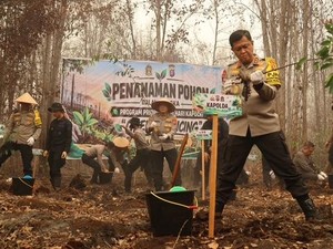 500 Pohon Belangiran Ditanam, Pulihkan Gambut Palangka Raya Bekas Karhutla