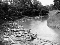 Keberadaan sungai Jakarta ribuan tahun lalu. (Sumber luk.staff.ugm.ac.id)