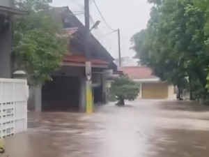 113 Rumah di Cibinong Terendam Banjir Akibat Tanggul Kali Sugu Tamu Jebol