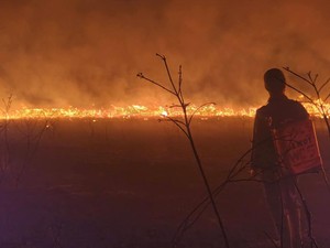 Kebakaran TN Way Kambas Meluas, Warga Sebut Tahun Ini Terparah