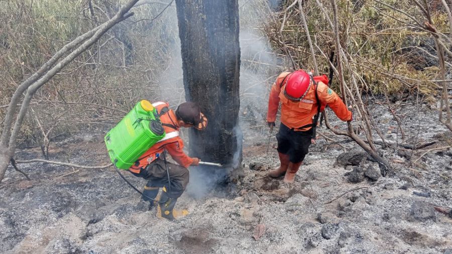 Penanganan karhutla yang melanda kawasan Hutan Resort SPTN Wilayah I Kuningan, Taman Nasional Gunung Ciremai, Kabupaten Kuningan, Provinsi Jawa Barat (25/10). (BPBD Kabupaten Kuningan)