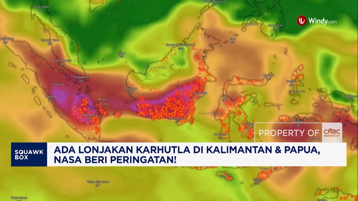 Ada Lonjakan Karhutla di Kalimantan dan Papua, NASA Beri Peringatan!