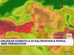 Ada Lonjakan Karhutla di Kalimantan dan Papua, NASA Beri Peringatan!